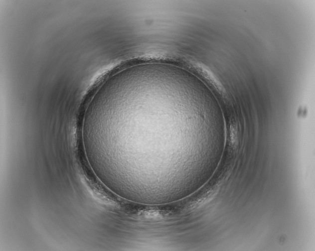 X0000093610588200710291207
