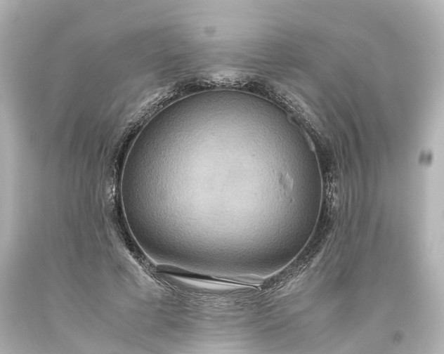 X0000093610593200710291207