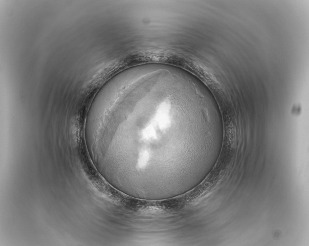 X0000093610594200710291207