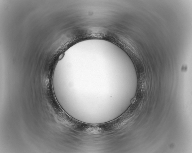 X0000093610595200710291207