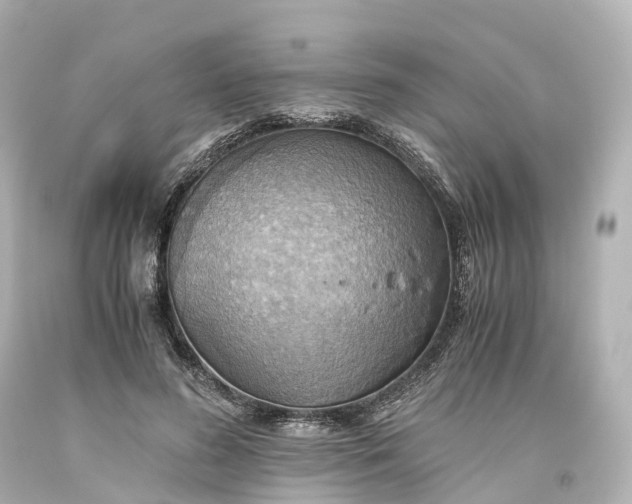 X0000093610596200710291207