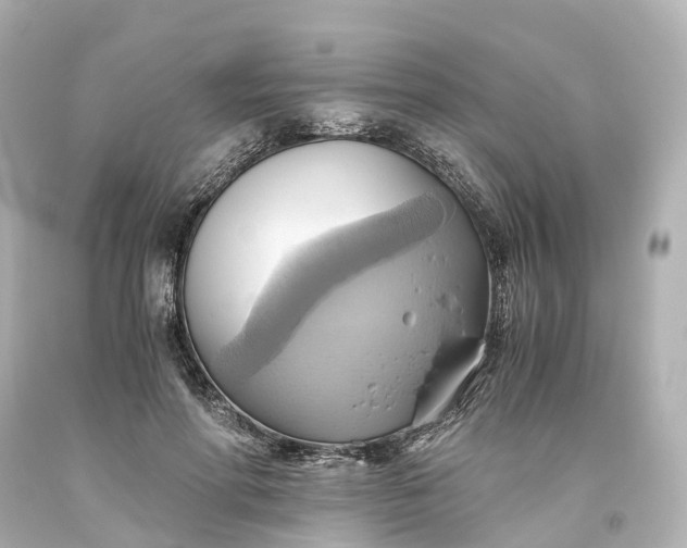 X0000093610598200710291207