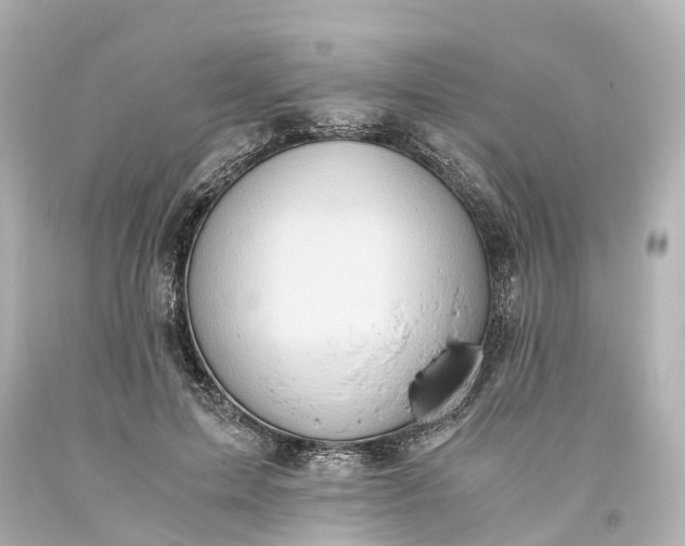 X0000093610599200710291207