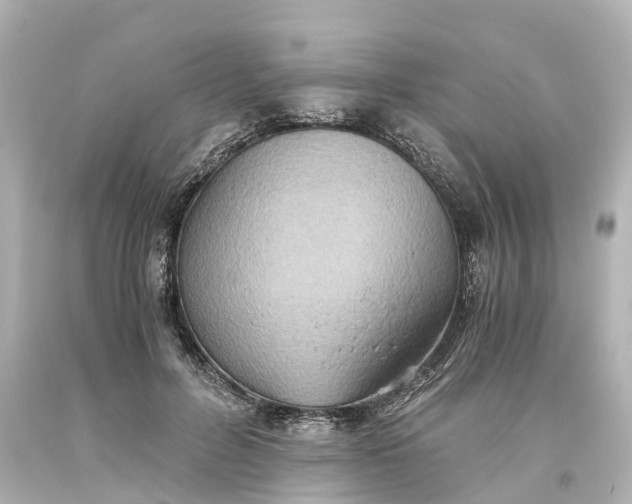 X0000093610600200710291207