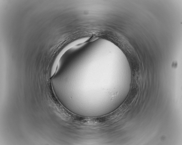 X0000093610601200710291207