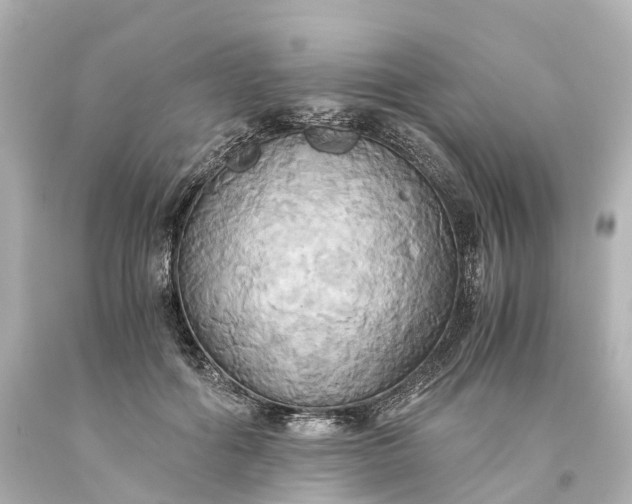X0000093610602200710291207