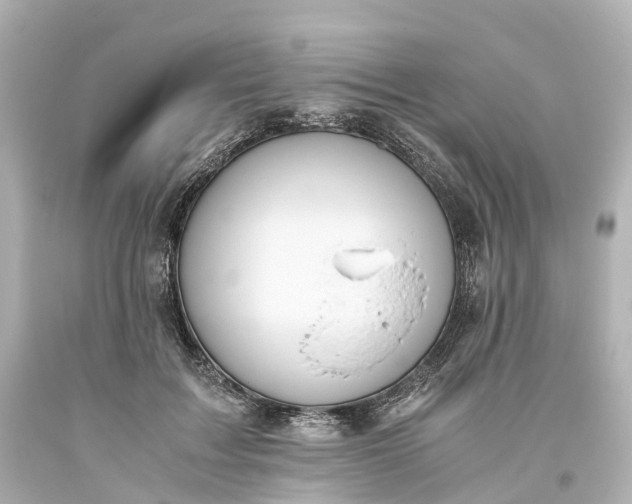 X0000093610603200710291207