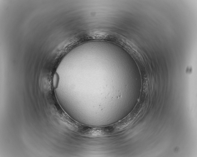 X0000093610604200710291207
