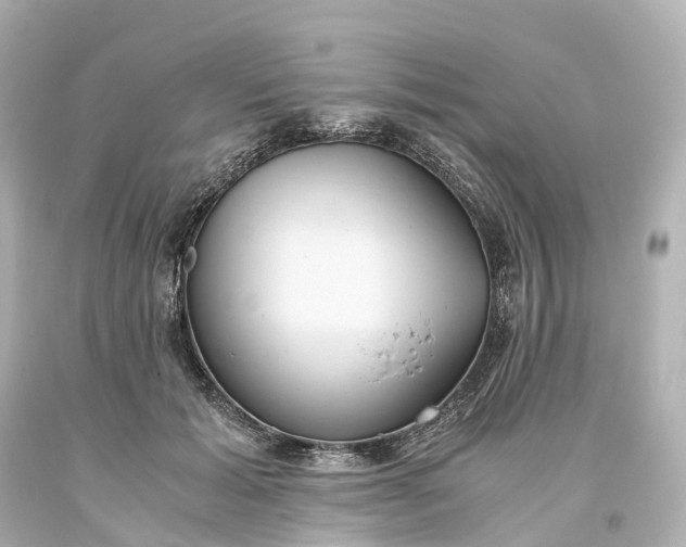 X0000093610605200710291207