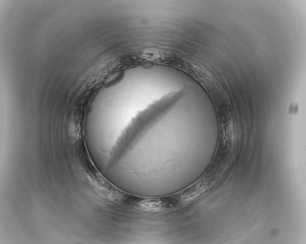 X0000093610606200710291207