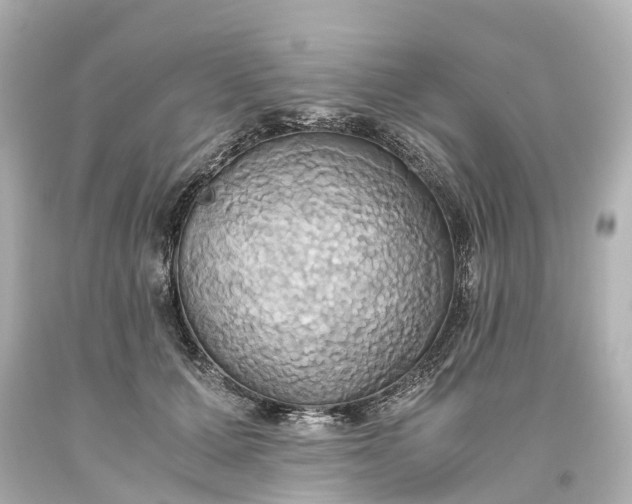 X0000093610607200710291207