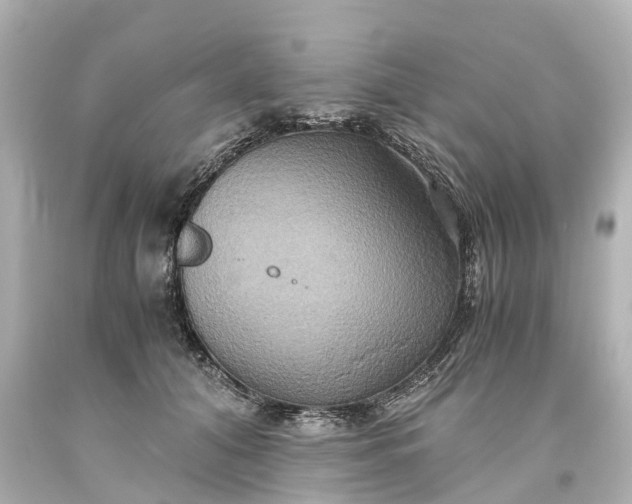 X0000093610608200710291207