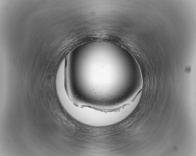 X0000093610609200710291207