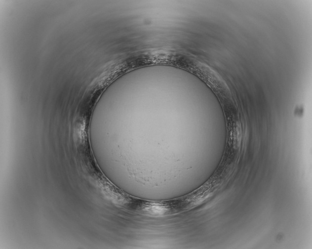 X0000093610610200710291207