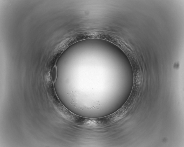 X0000093610611200710291207