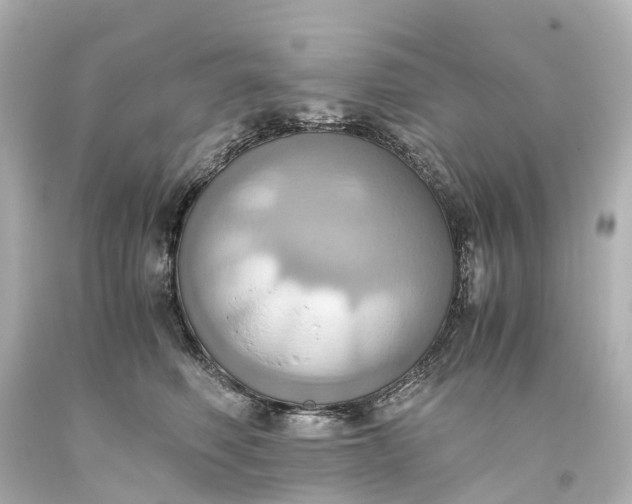 X0000093610614200710291207