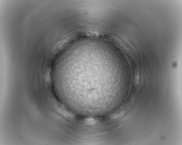 X0000093610616200710291207