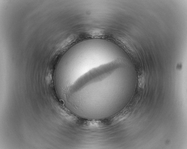 X0000093610618200710291207