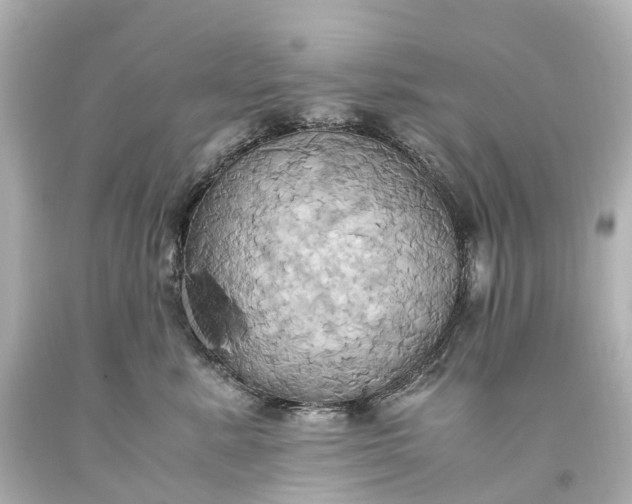 X0000093610619200710291206