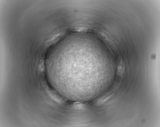 X0000093610620200710291206