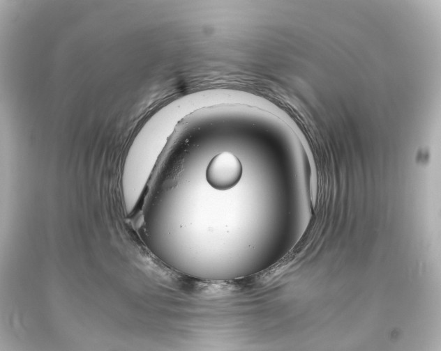 X0000093610621200710291206