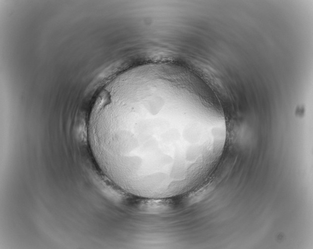 X0000093610622200710291206