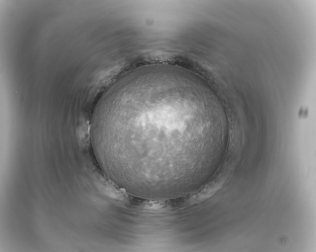 X0000093610624200710291206