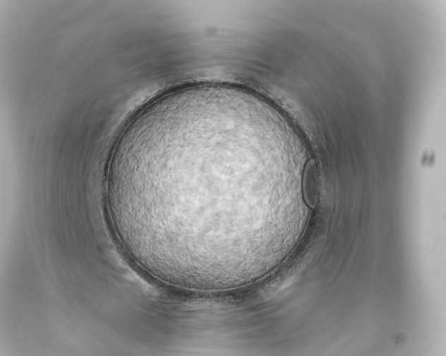 X0000093610625200710291206