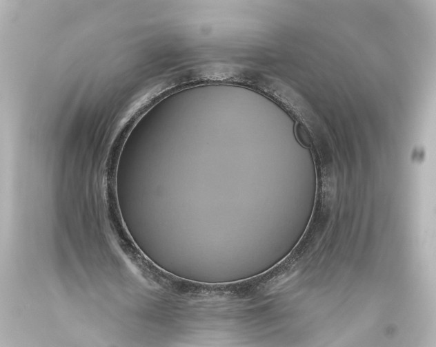 X0000093610626200710291206