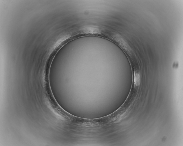 X0000093610627200710291206