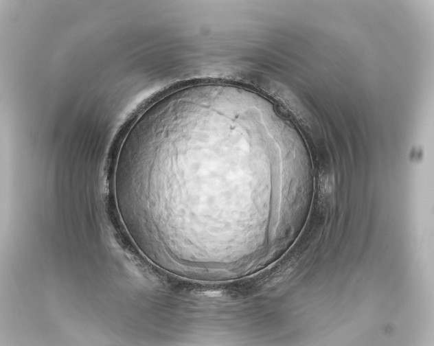 X0000093610628200710291206