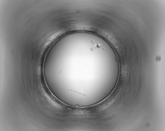 X0000093610629200710291206