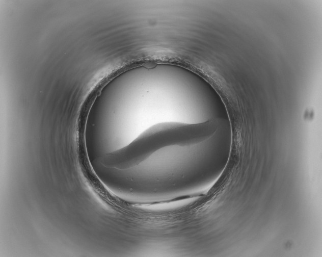 X0000093610630200710291206