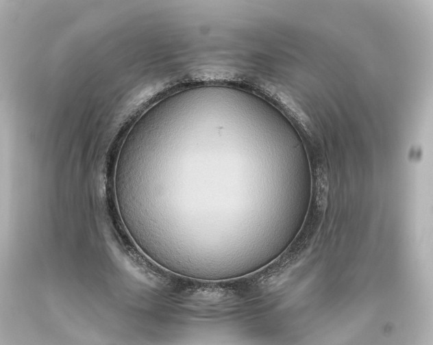 X0000093610631200710291206