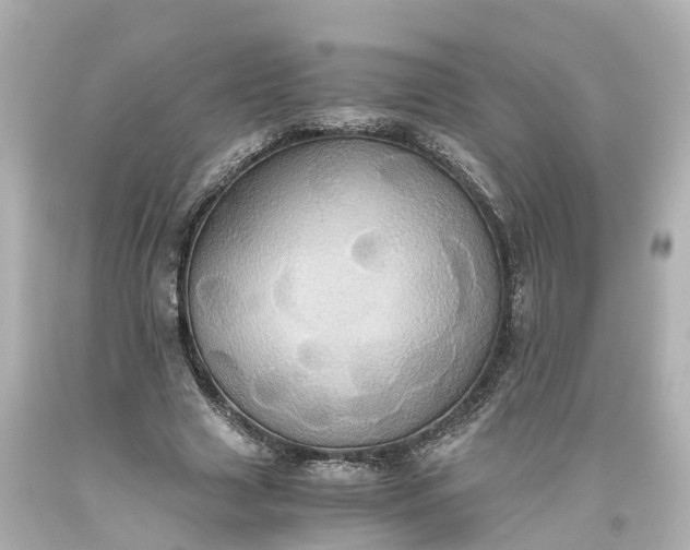 X0000093610633200710291206