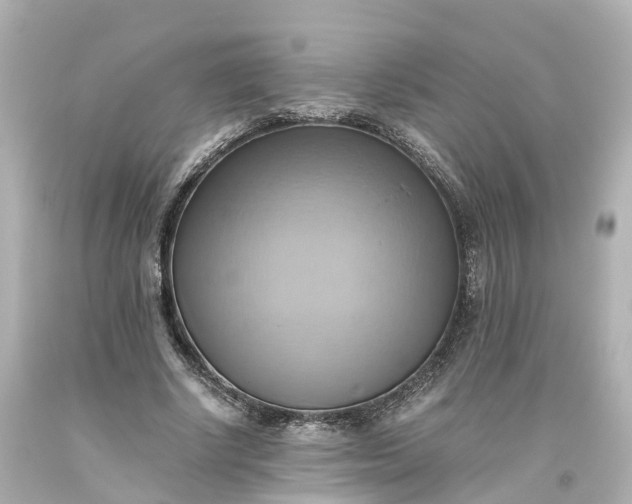 X0000093610634200710291206