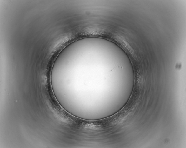 X0000093610635200710291206