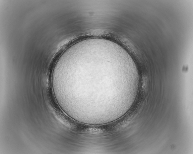 X0000093610636200710291206