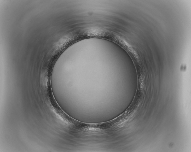 X0000093610637200710291206