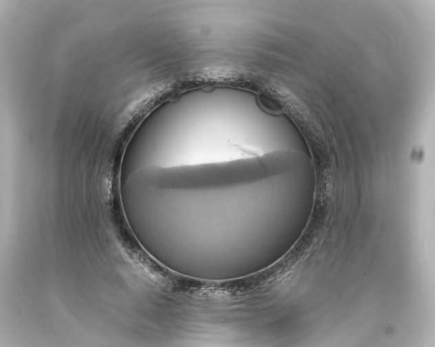 X0000093610640200710291206