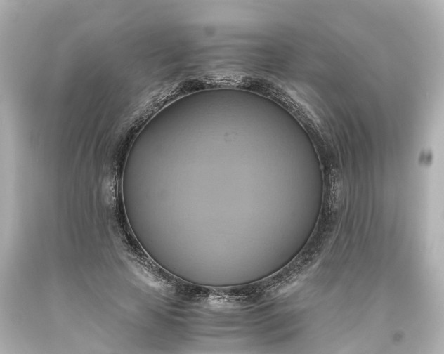 X0000093610641200710291206