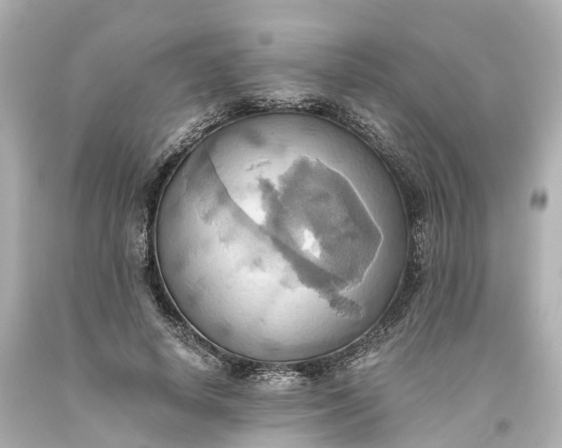 X0000093610642200710291206