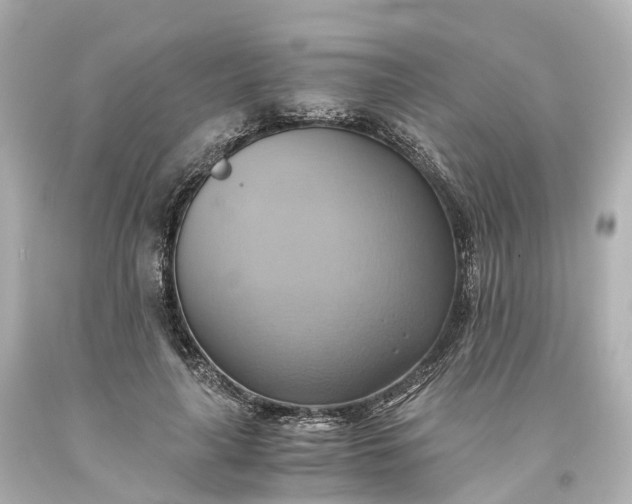 X0000093610643200710291206