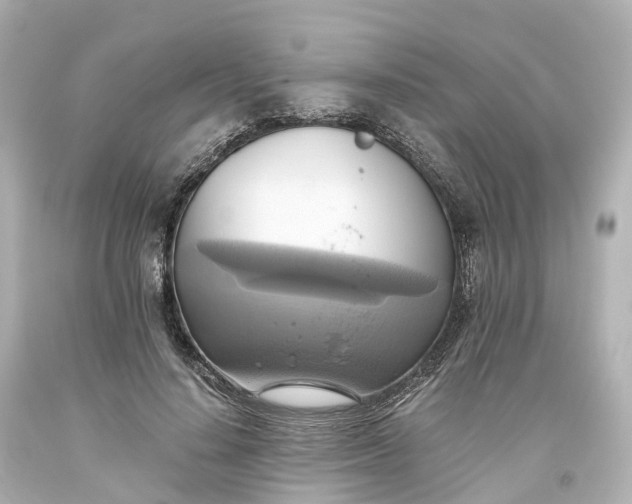 X0000093610644200710291206