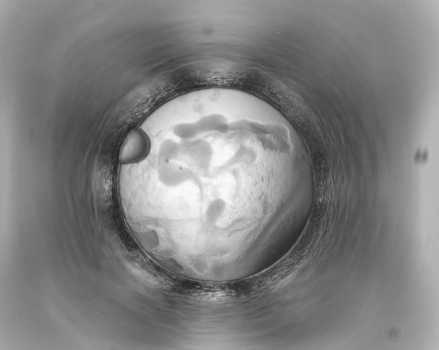X0000093610646200710291206