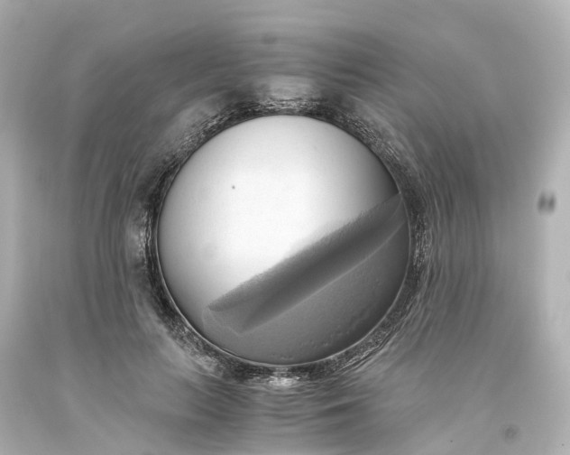 X0000093610647200710291206