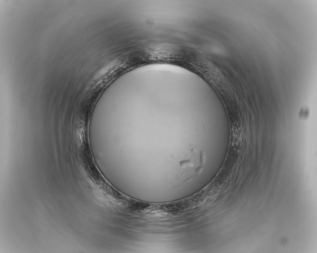 X0000093610648200710291206
