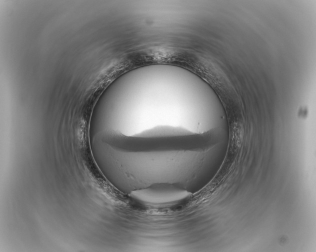 X0000093610650200710291206