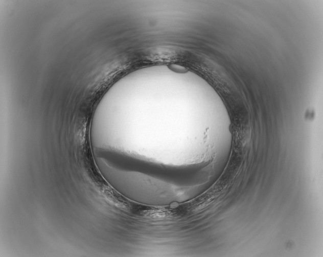 X0000093610652200710291206