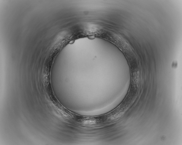 X0000093610653200710291206